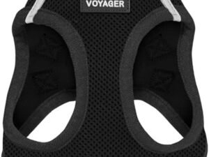 Best Pet Supplies, Inc Best Pet Supplies Voyager Step-In Air Dog Harness, Black, Small