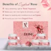 NUTRIGLOW Natural's English Rose Facial Kit for Women with Rose Extracts