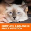 IAMS Proactive Health Indoor Weight & Hairball Care Adult Dry Cat Food with Chicken & Turkey, 7 lb. Bag